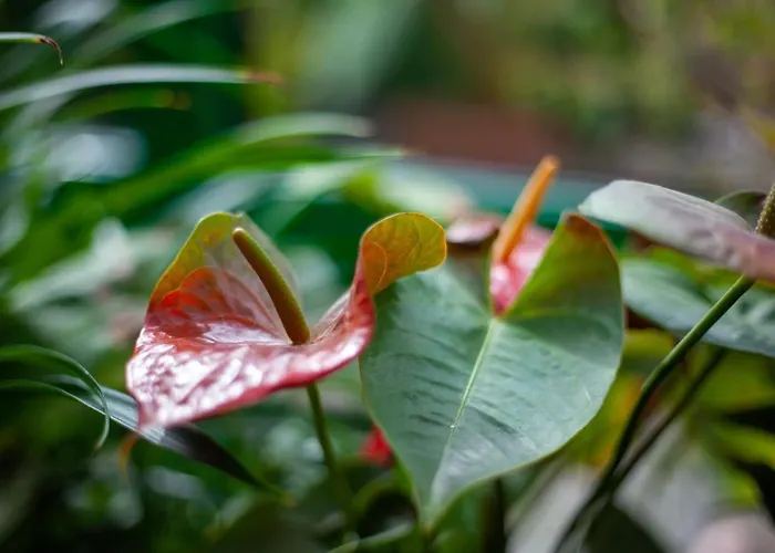 Hotell Hotel Landsberg Landsberg (Saxony-Anhalt)