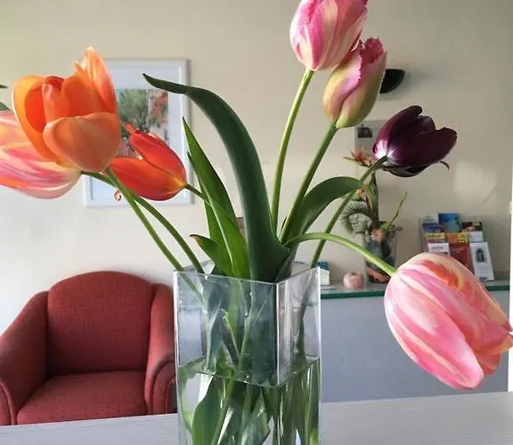 Hotel Landsberg Hotell 2*