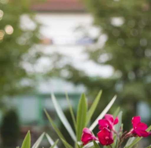 Hotel Landsberg 2* Landsberg (Saxony-Anhalt)