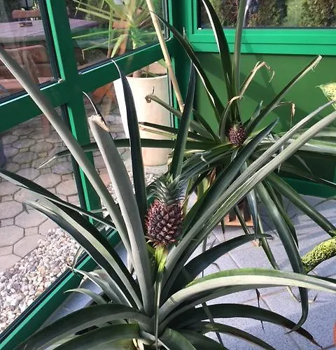 Hotel Landsberg Hotell 2*